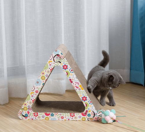 创新纸板宠物玩具，引领绿色产业新风尚，年产值突破数千万