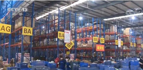 一季度电子商务发展势头迅猛，农村电商与技术服务双翼齐飞