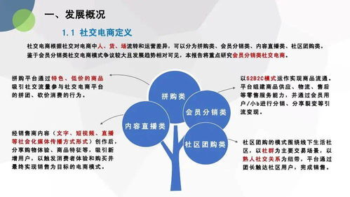 《电子商务技术服务合规启示 基于中国社交电商合规研究报告的分析》