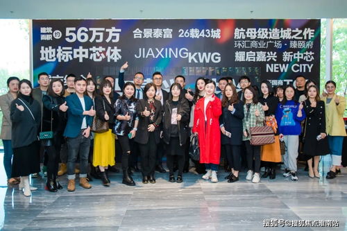 嘉兴合景泰富环汇商业广场 电子商务技术服务的多元价值解析