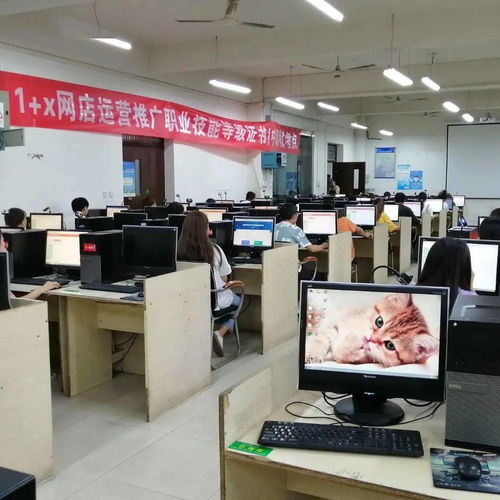 网罗精彩 商聚天下 西航职院电子商务专业简介