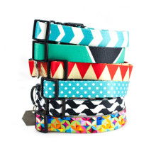 温州平阳好农夫宠物用品厂 专注宠物用品生产与创新