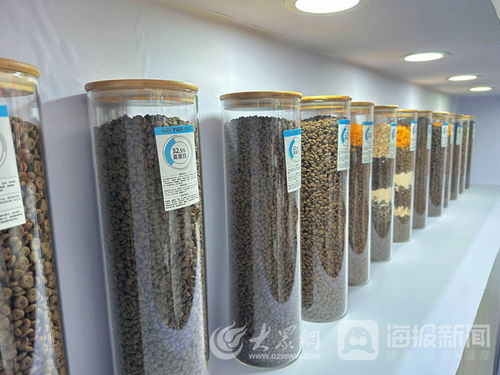 山东一贯宠物用品公司 以高质量产品领跑宠物经济赛道