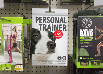 Packaged Pets 重新定义宠物用品包装的电子商务解决方案