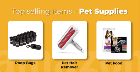 亚马逊宠物类产品与旅行户外用品热销品类分析