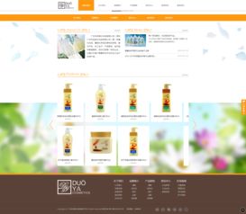 企泰科技 让电子商务更简单，一站式技术服务助力企业数字化转型